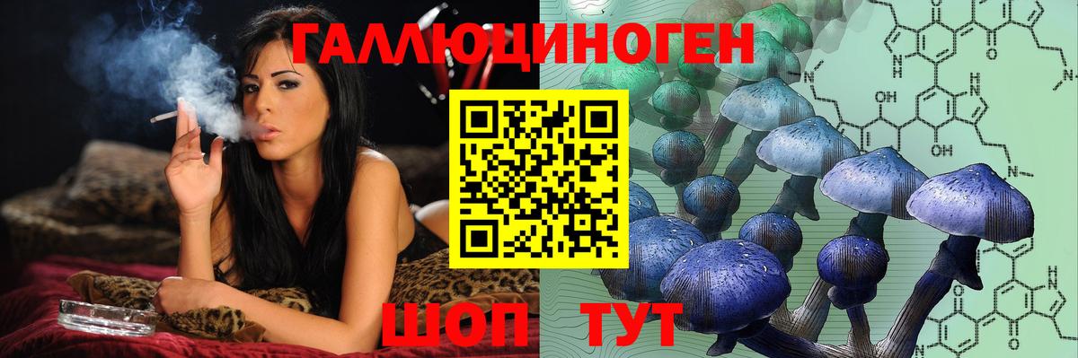 Псилоцибиновые грибы мицелий  Вход с VPN  Кудымкар 
